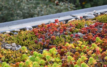 the cost of Marshland St James green roof installation