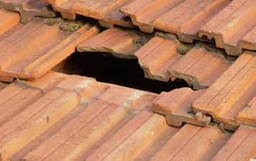 roof repair Marshland St James, Norfolk