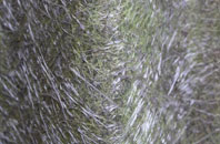 Marshland St James fibreglass roof work